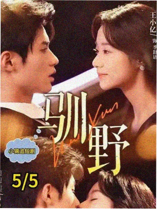 人物关系图鉴示意：同阵营内部的分工结构